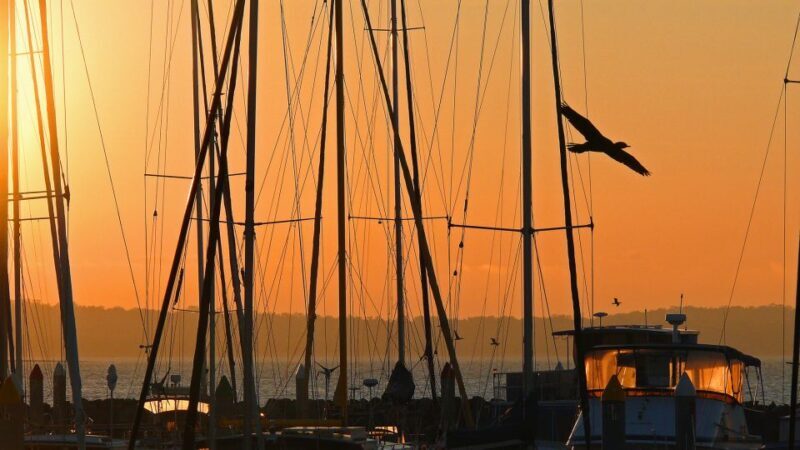 Hervey Bay: Relaxing Sunset Cruise with Champagne and Prawns - An Authentic Sunset Experience in Hervey Bay