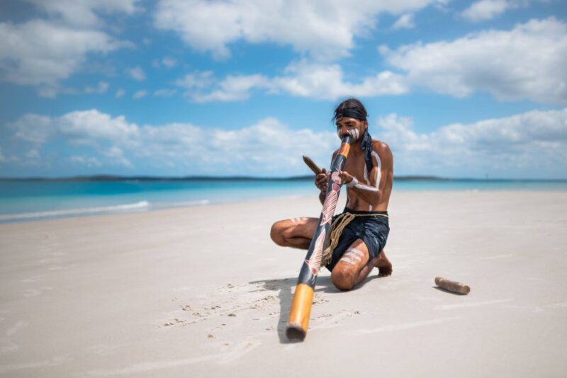 Hervey Bay: Turtle Discovery Eco Tour - Key Points