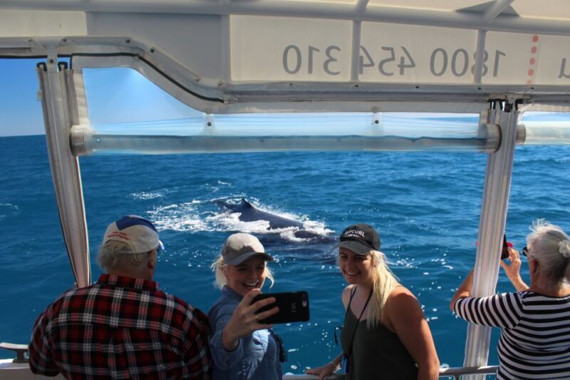 Hervey Bay: Ultimate Whale Watching Experience - Value and Pricing