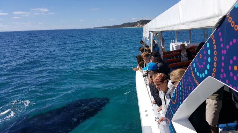 Hervey Bay: Ultimate Whale Watching Experience - FAQ
