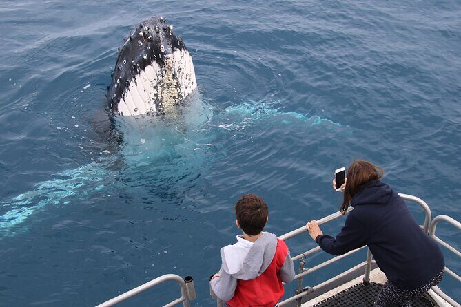 Hervey Bay Whale Watching Cruise - Final Words