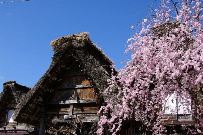 hida-takayama-and-shirakawago-one-day-bus-tour-from-nagoya