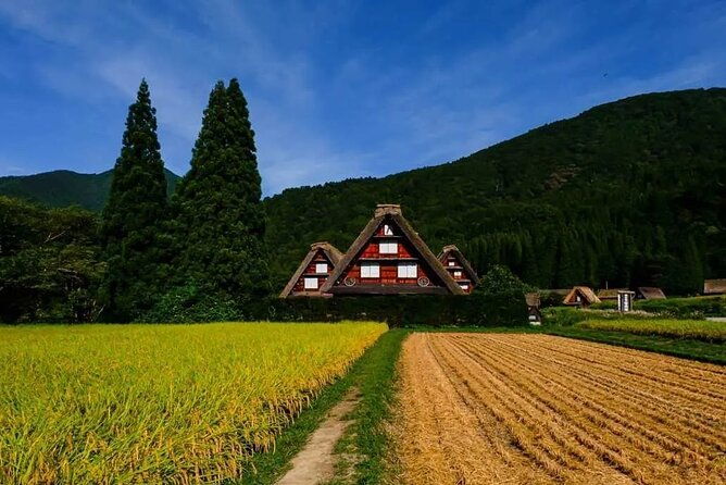 hida-takayama-and-shirakawago-one-day-bus-tour-from-nagoya