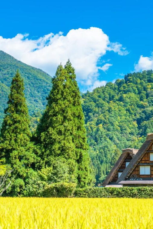 hida-takayama-shiragawago-unesco-full-day-tour-from-nagoya