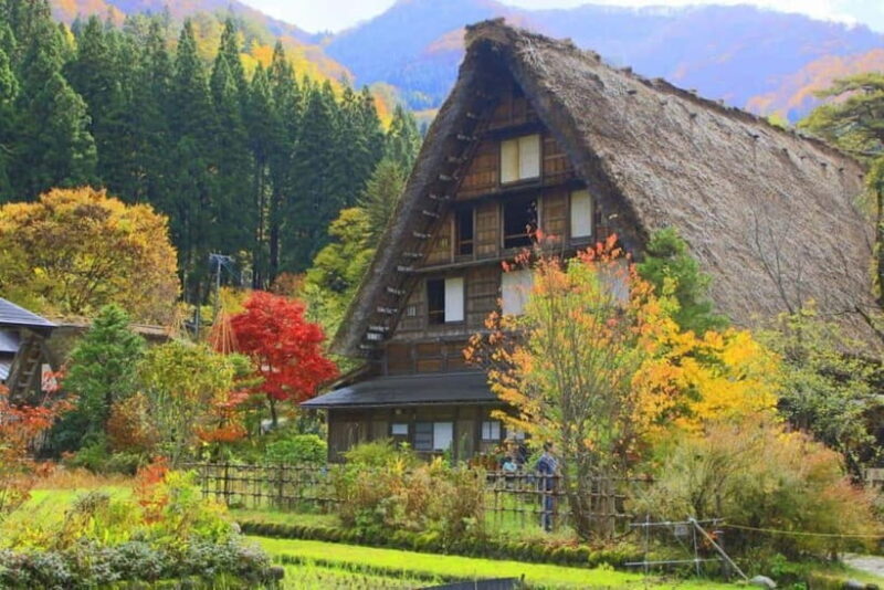 Hida Takayama, Shirakawa-go+Observatory|Day Trip from Nagoya - Key Points