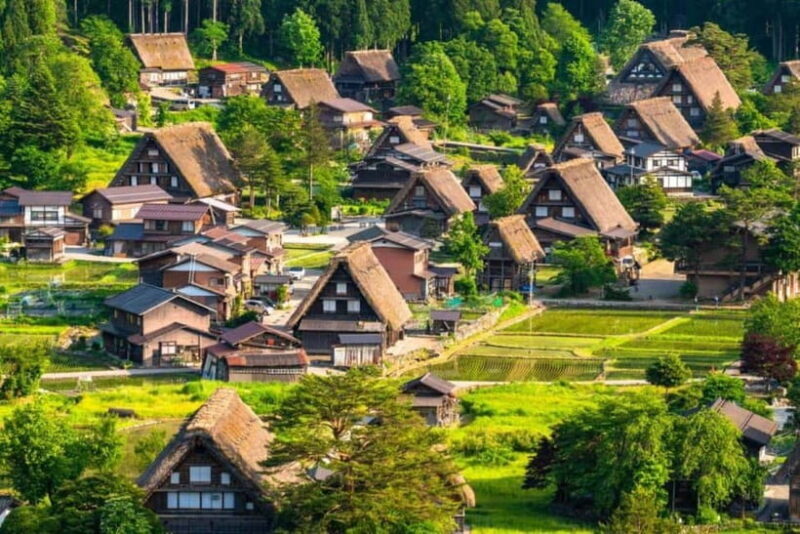 Hida Takayama, Shirakawa-go+Observatory|Day Trip from Nagoya - How the Tour Feels in Practice