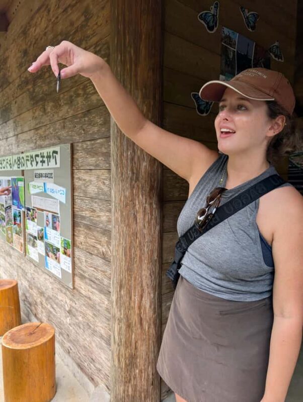 Hidaka, Wakayama: Butterfly Conservation, Hike, Hot Spring - What It Means for Travelers