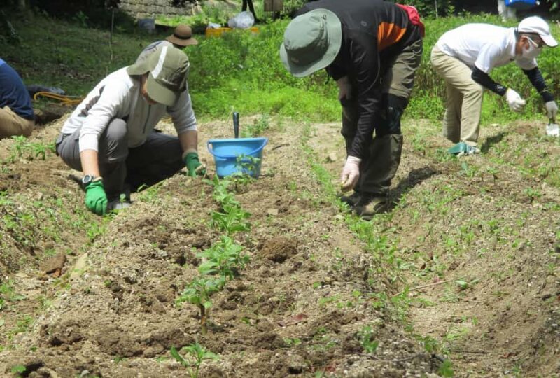 Hidaka, Wakayama: Butterfly Conservation, Hike, Hot Spring - FAQs