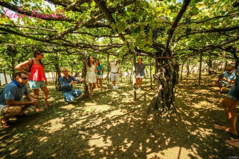 Hidden Amalfi:Vespa Tour Throught Secret Villages - Value and Cost Analysis