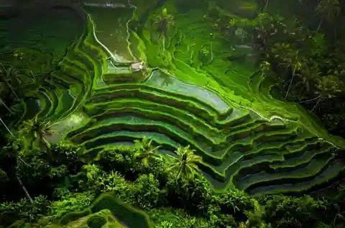 Hidden Bali Waterfalls And Scenic Rice Terrace With Lunch - Things To Keep In Mind