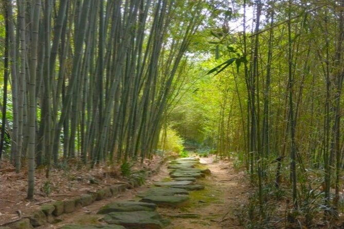 hidden-bamboo-gem-and-japanese-foods-in-izakaya-private-tour