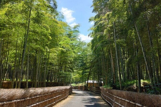 hidden-bamboo-gem-and-japanese-foods-in-izakaya-private-tour