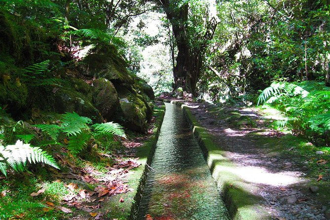hidden-corners-levada-walk-from-funchal-4
