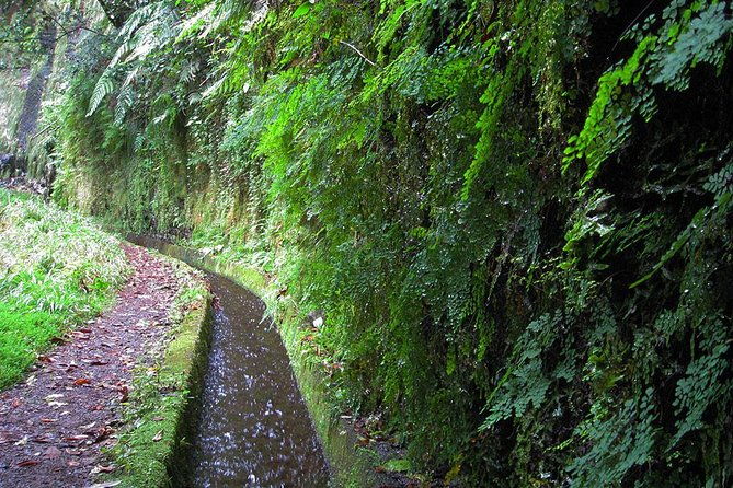 hidden-corners-levada-walk-from-funchal-4