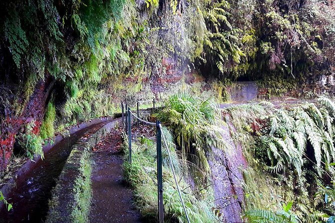 hidden-corners-levada-walk-from-funchal-4