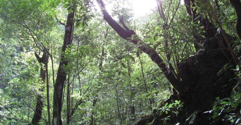 hidden-corners-the-kings-levada-full-day-hike