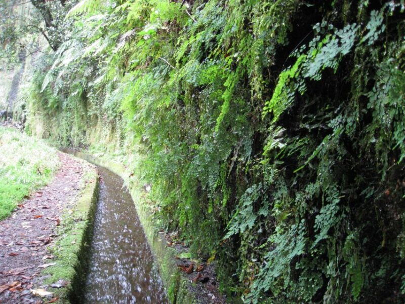 hidden-corners-the-kings-levada-full-day-hike