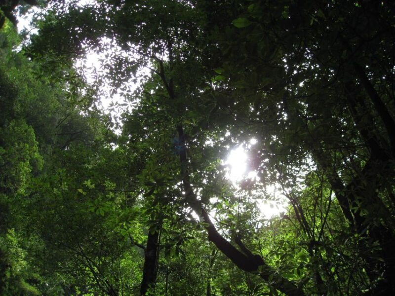 hidden-corners-the-kings-levada-full-day-hike