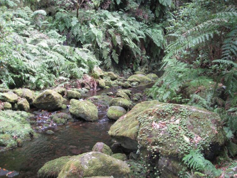 hidden-corners-the-kings-levada-full-day-hike