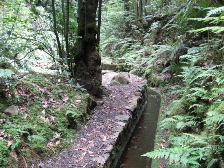hidden-corners-the-kings-levada-full-day-hike
