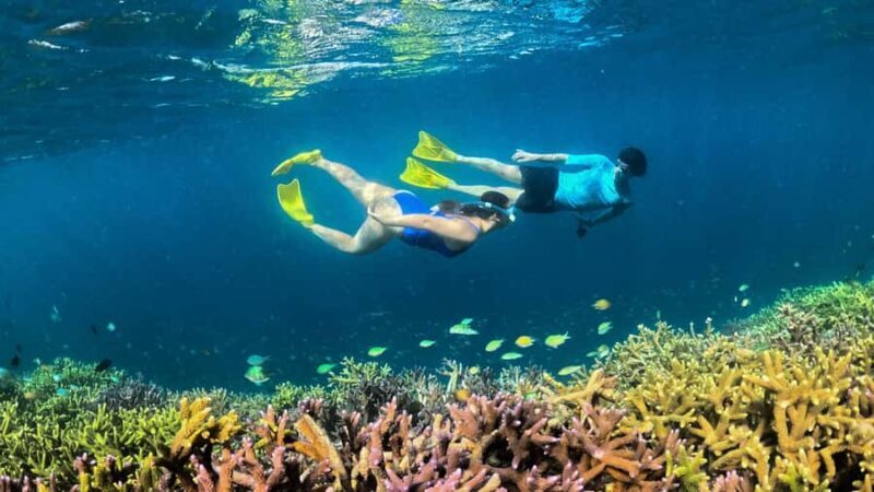 Hidden East Gili's Lombok Private Snorkeling Tour - An In-Depth Look at the Tour