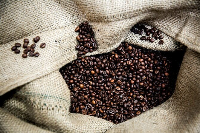 hidden-flavors-of-the-hillside-mouraria-graca