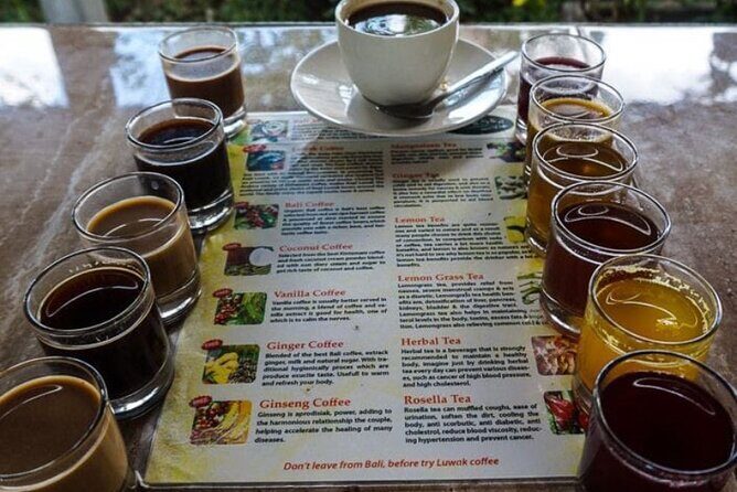 Hidden Gem BEDUGUL TOUR - Final Thoughts