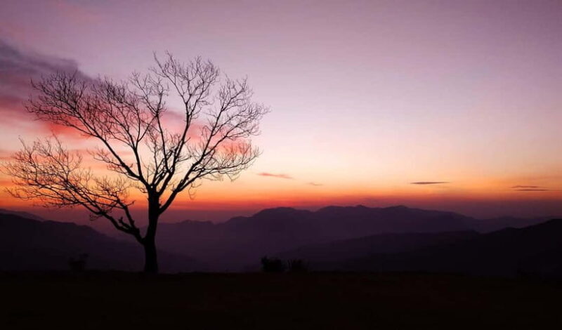 Hidden Gem of Mussoorie: Benog Hill Serenity Trek - Key Points