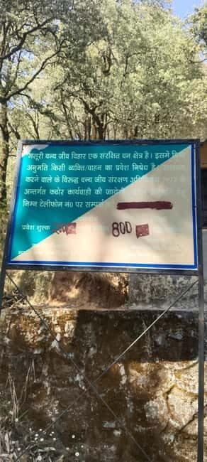 Hidden Gem of Mussoorie: Benog Hill Serenity Trek - Final Thoughts