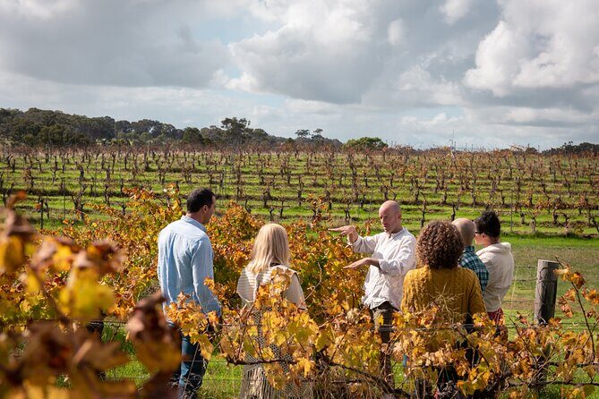 Hidden Gems: Full-Day Wine, Scones, Lunch and Local Produce Tour - A Day Filled with Surprises and Authenticity