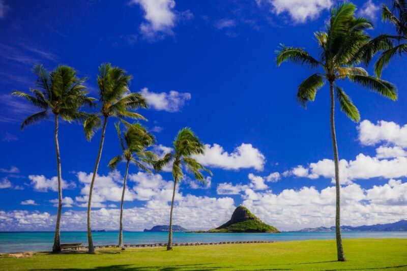 Hidden Gems of Oahu Circle Island Tour with Byodo-In Temple - The Value of this Tour
