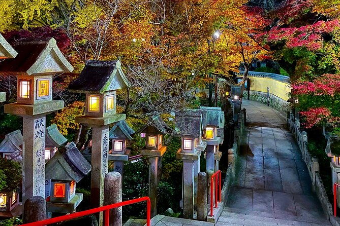 hidden-gems-of-osaka-kyoto-nara-private-car-tour-by-local-guide