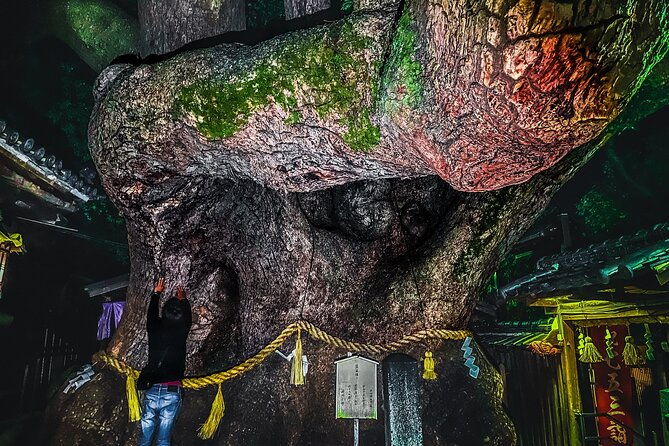 hidden-gems-of-osaka-kyoto-nara-private-car-tour-by-local-guide