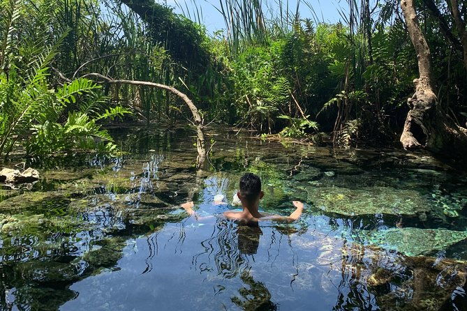 hidden-gems-of-the-north-puerto-rico-private-tour