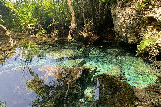 hidden-gems-of-the-north-puerto-rico-private-tour
