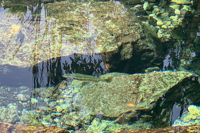 hidden-gems-of-the-north-puerto-rico-private-tour
