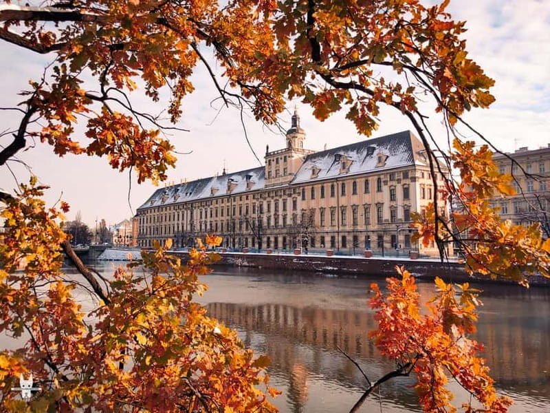 Hidden Gems of Wrocaw Tour - What to Expect from the Tour