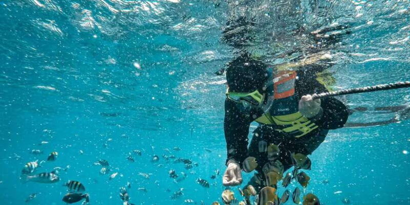 hidden-gilis-lombok-snorkeling-daily-tour