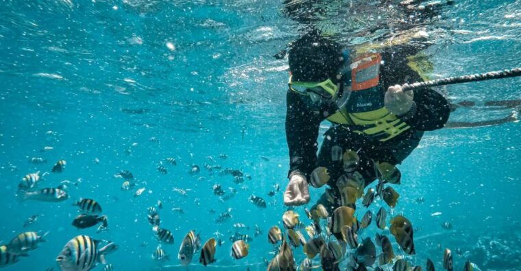 hidden-gilis-lombok-snorkeling-daily-tour