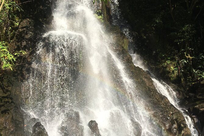 hidden-hawaii-tours