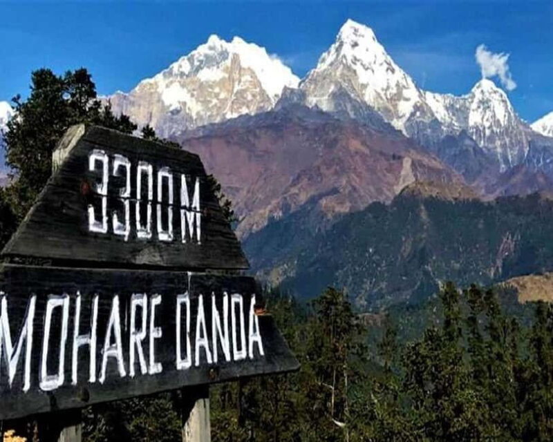 Hidden Himalayas: 8-Day Mohare Danda Trek via Nagi Village - The Truly Unique Experience of the Mohare Danda Trek