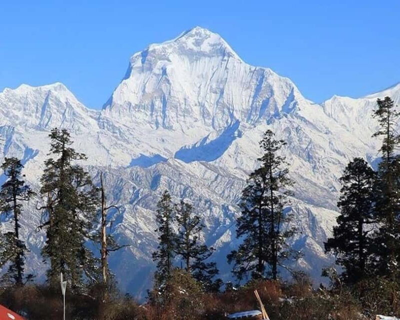 Hidden Himalayas: 8-Day Mohare Danda Trek via Nagi Village - Practical Tips for the Trip