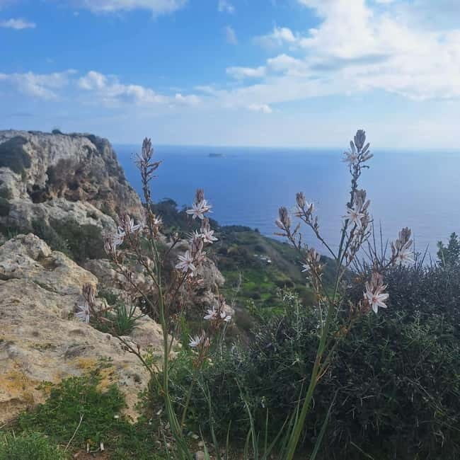 Hidden Malta: From Coastal Wonders to the Silent City - Who Will Love This Tour?