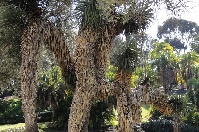 hidden-nature-walks-in-the-city-private-tour