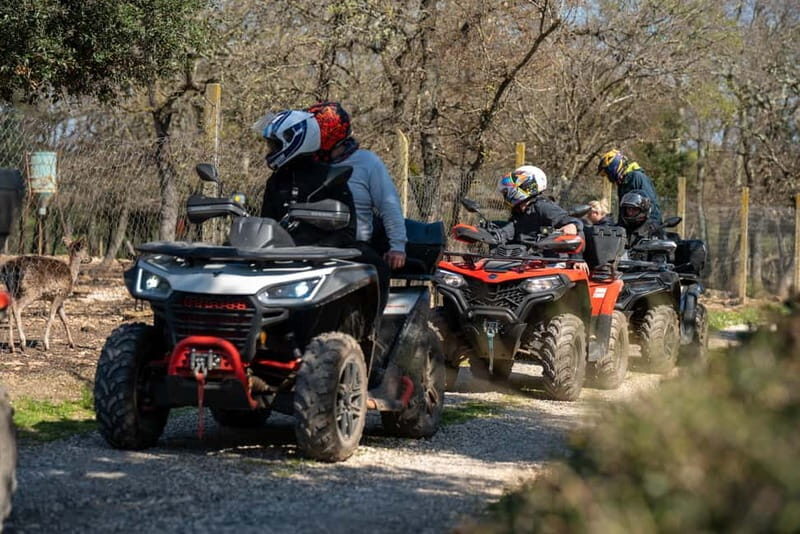 Hidden Peak - Vodnjan-Bale Quad Tour - An In-Depth Look at the Hidden Peak Quad Tour