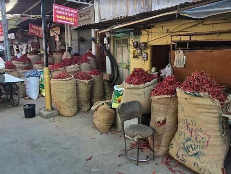 Hidden side of Udaipur : City walk with Mitali - Key Points