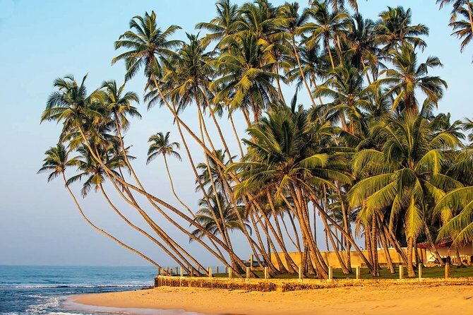 Hidden Temples and Secluded Coastlines Tour from Talpe - FAQs