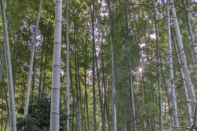 hidden-temples-tour-of-tokyo-in-karasuyama