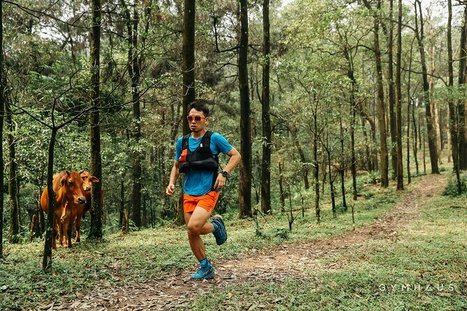 Hidden Trails & Forest Views | U Lesa Sóc Sn Experience - Key Points