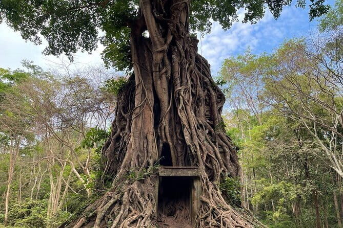 "Hidden Treasures: Beng Mealea and Sambor Prei Kuk Temple tours - The Sum Up: Who Is This Tour Best for?
